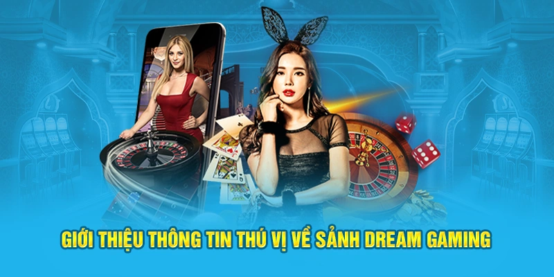 Giới thiệu thông tin thú vị về sảnh Dream Gaming